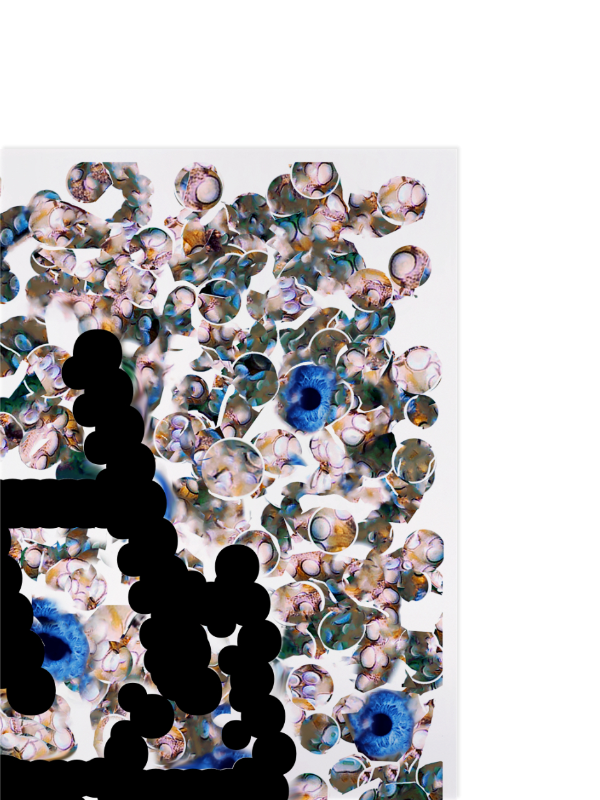 harber-specimen.png